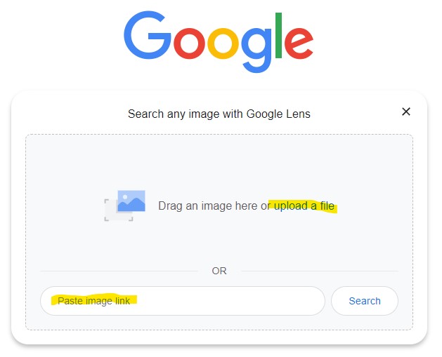 Google Bildersuche funktioniert mit einem Bild oder Link des Bildes