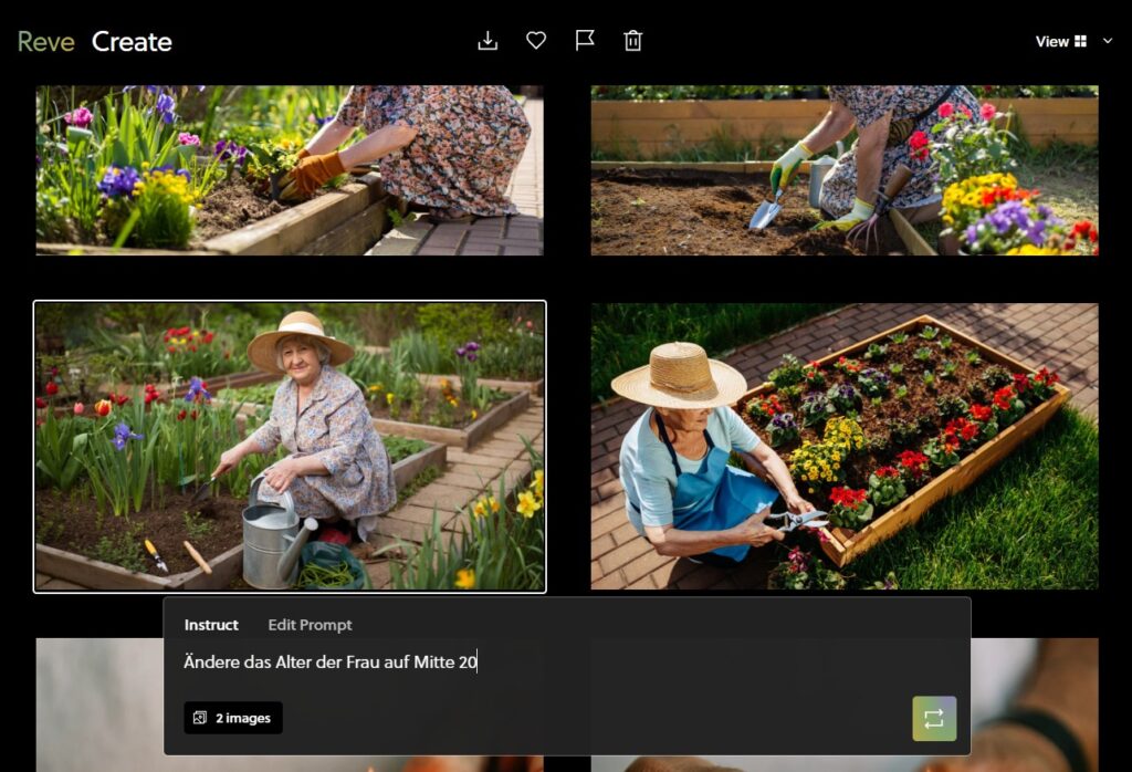 Die Funktion Bild modifizieren verändert in Reve Details in den Bildern.